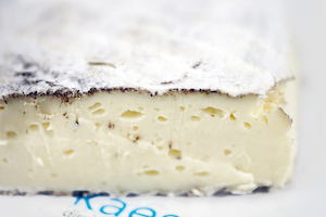 Dzorette